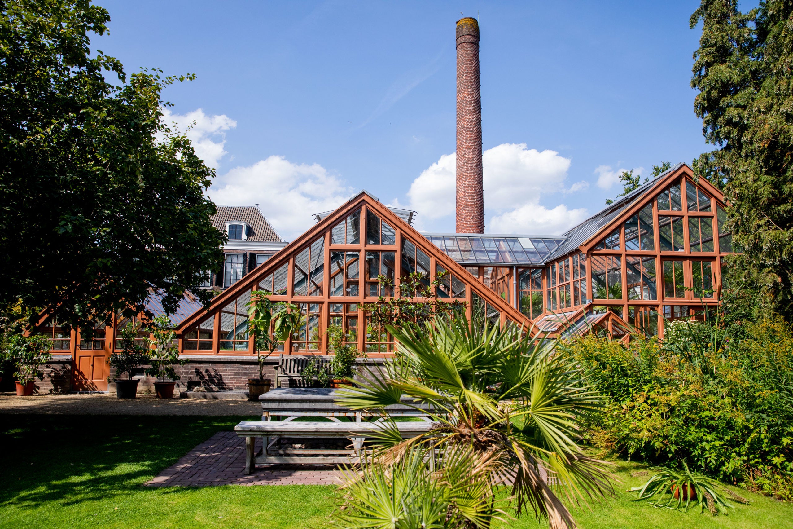 Utrecht Oude Hortus Salve zeep Werfzeep