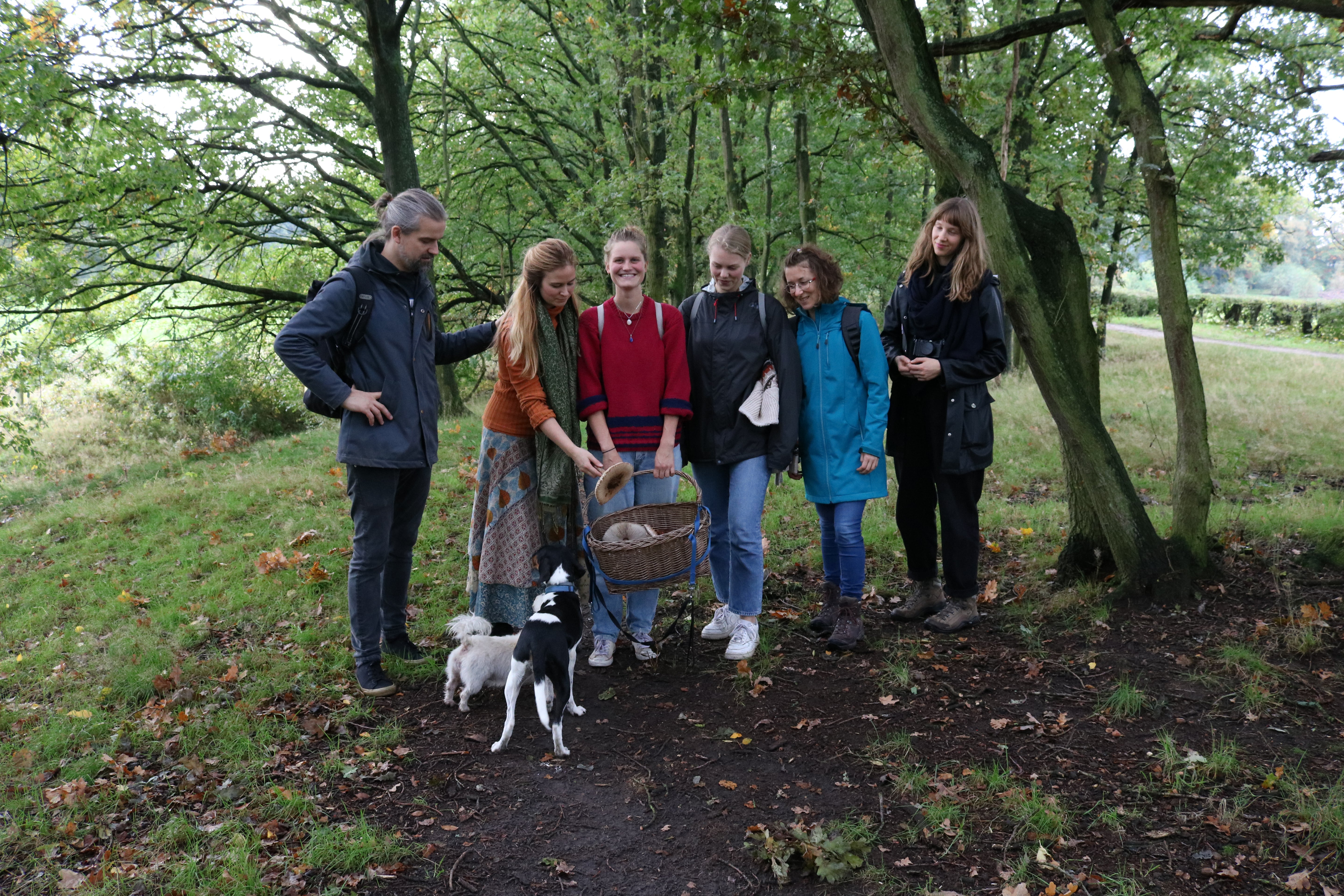Werfzeep zeepteam teamuitje paddestoelen wildplukken