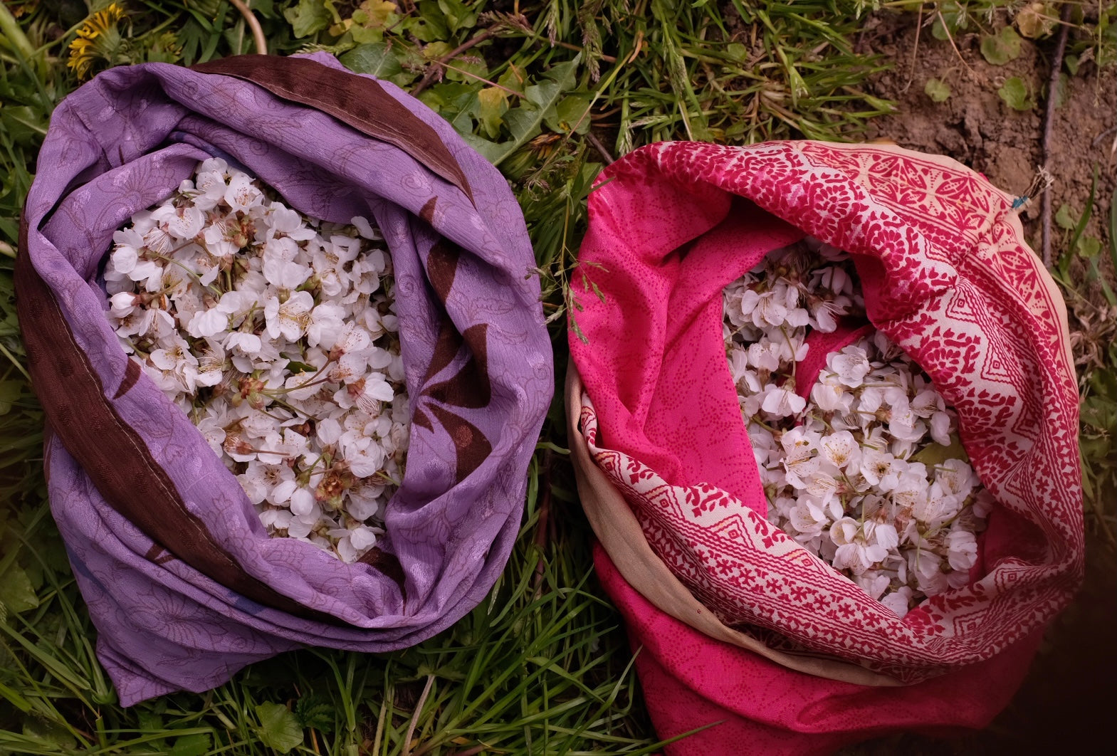 Werfzeep bloesemzeep kersenbloesems plukken wildplukken oogst