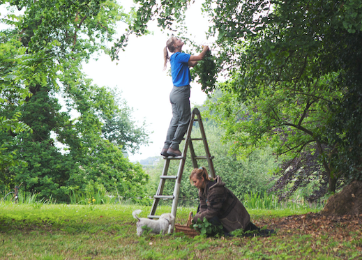 Wildpluk op Wickenburgh - Werfzeep - Evelien en Sephora