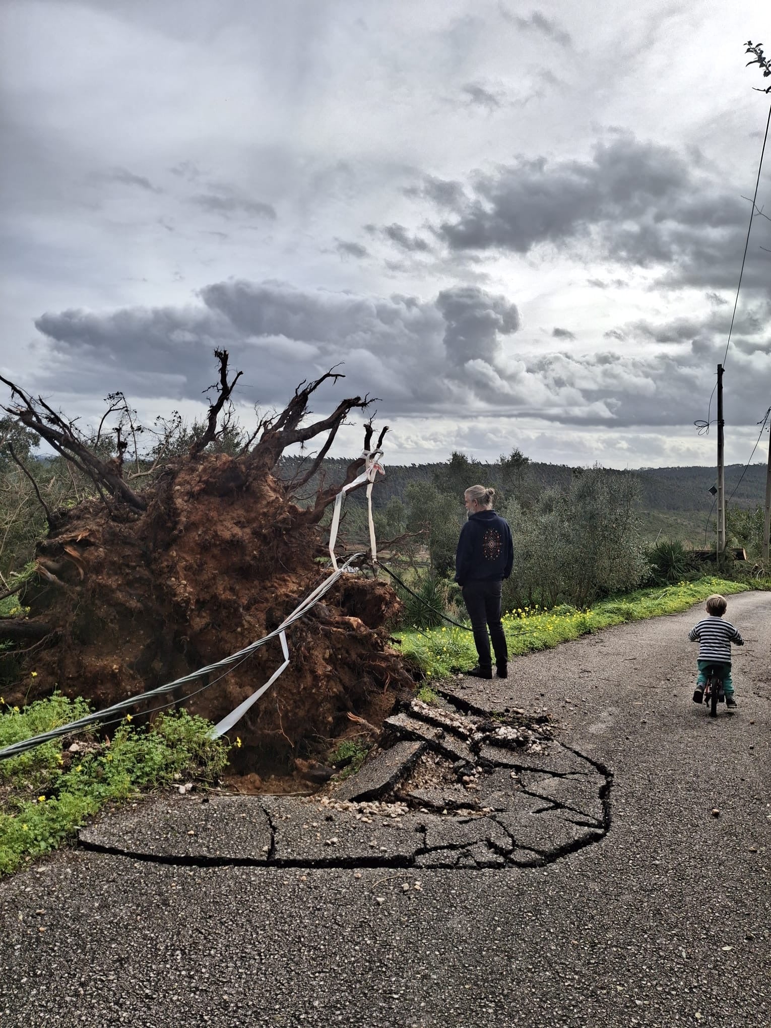 Stormzeep voor nieuwe bomen in Portugal