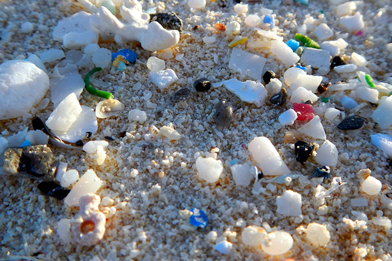 microplastics, part of the plastic soup