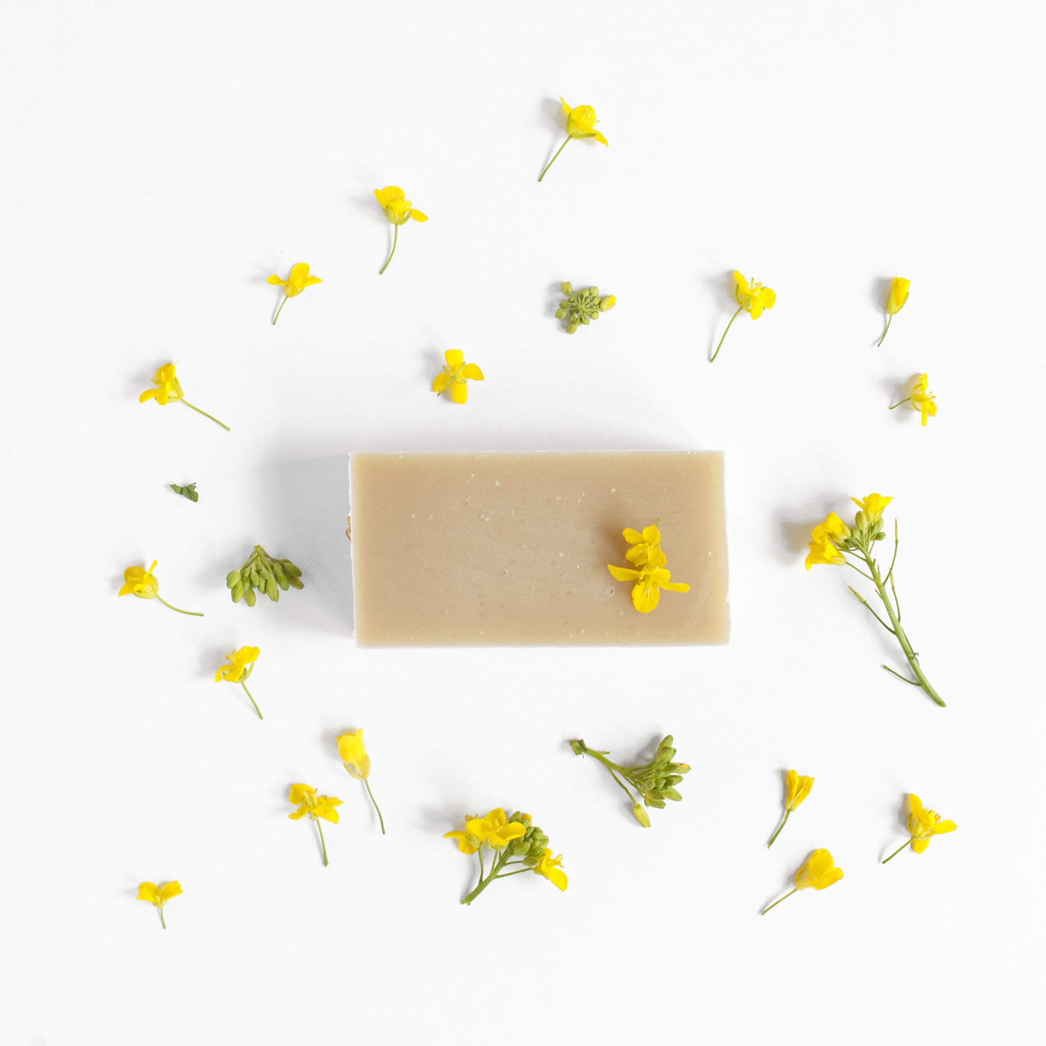 Seasonal soap spring | from forest to bath