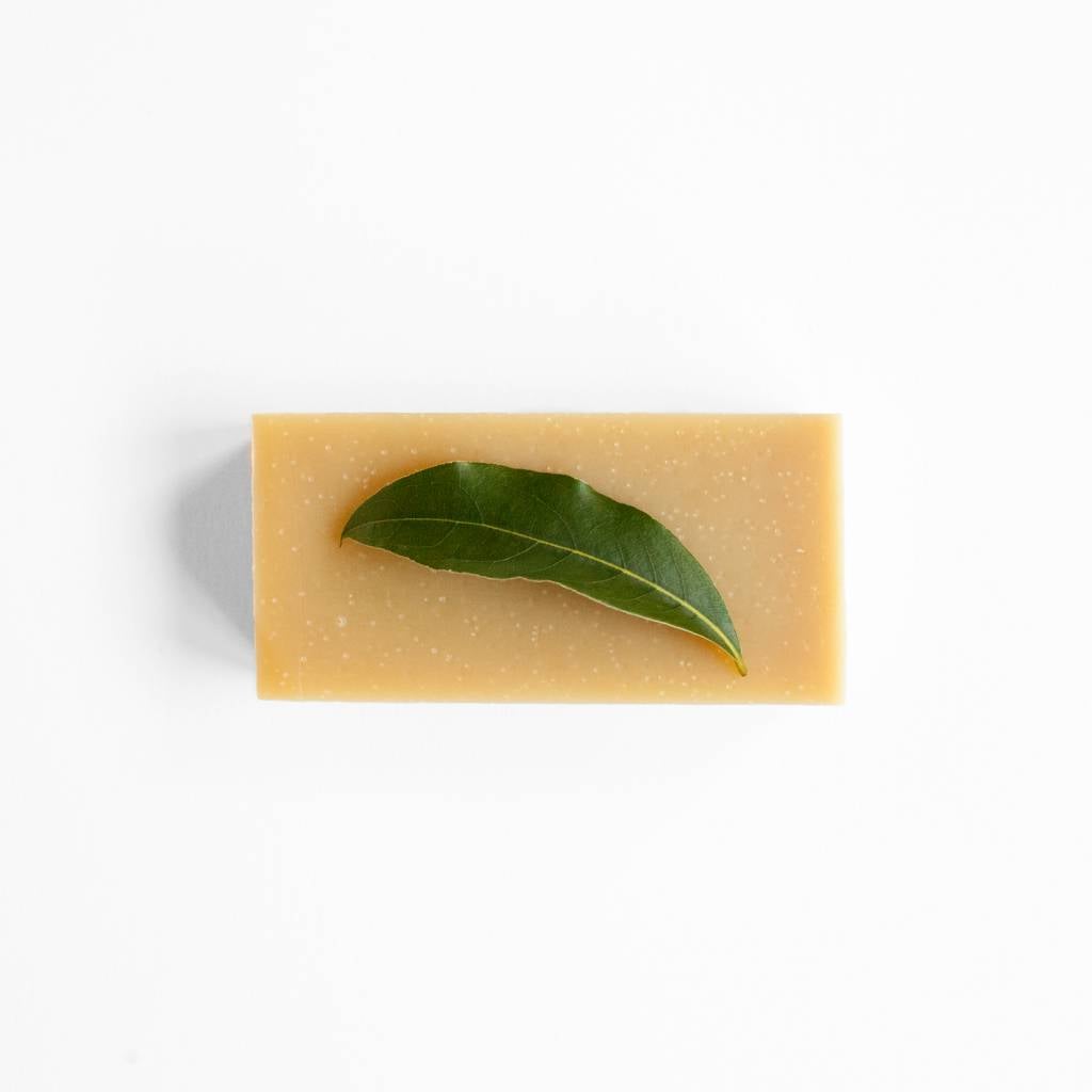 Honey shampoo
