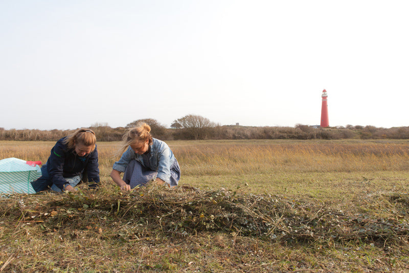 Schiermonnikoog RapenWatermunt Werfzeep Schierzeep