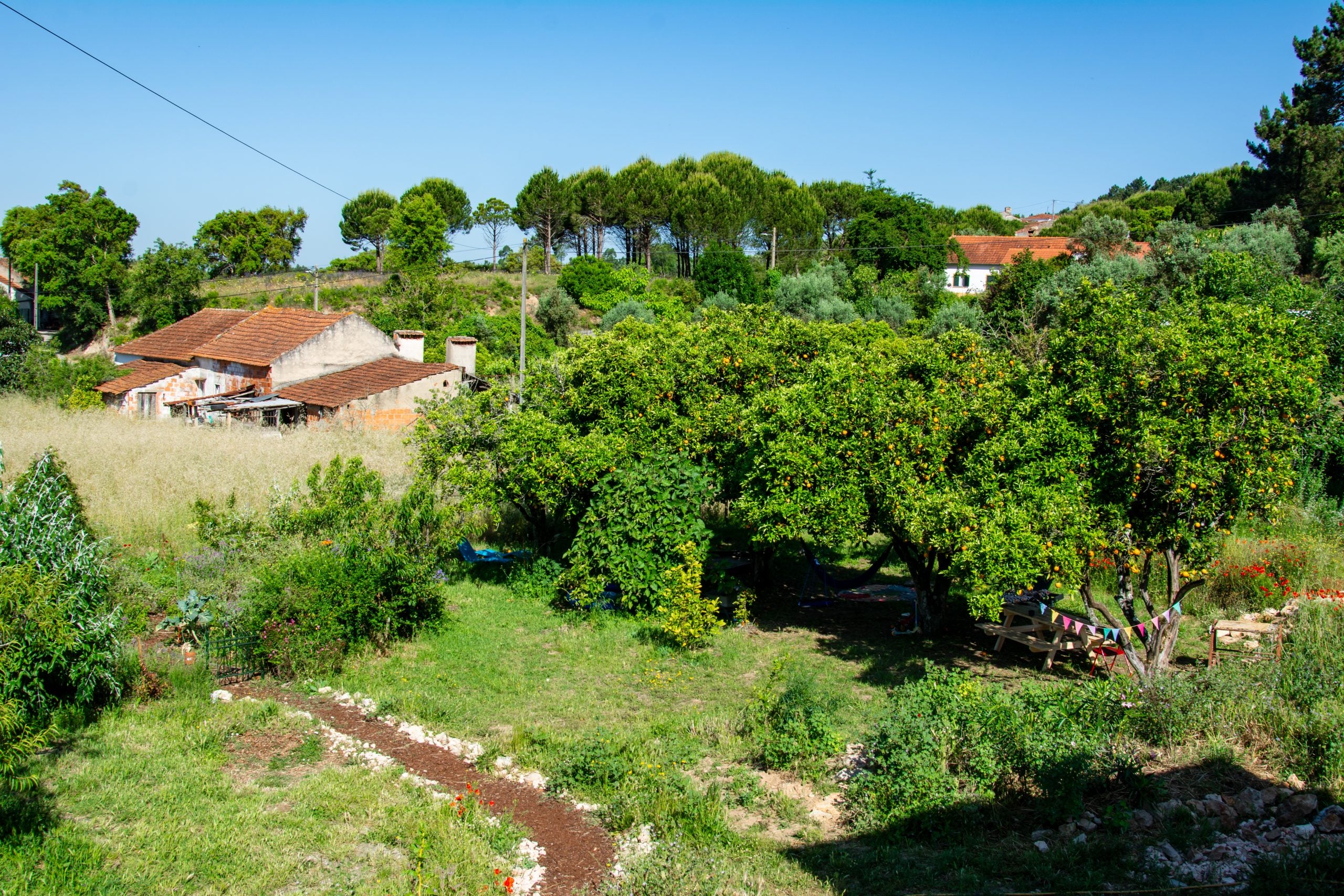 Werfzeep in Portugal