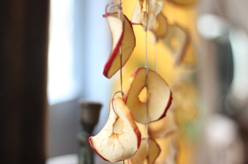 Appelchips maken - Werfzeep