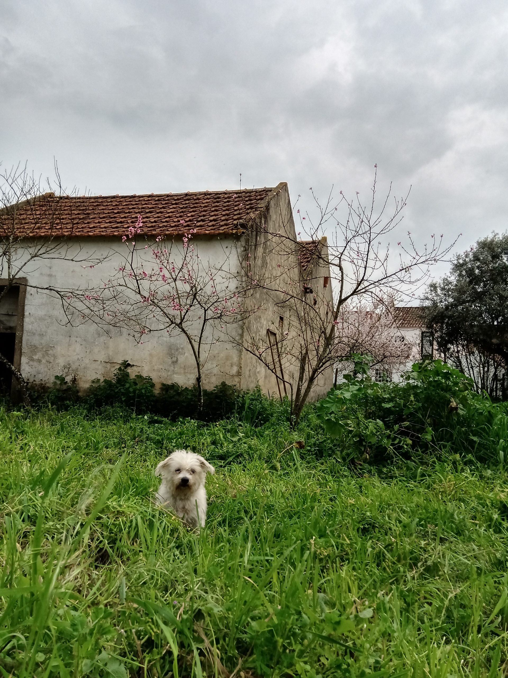 Roxy goes Portugal! - Werfzeep