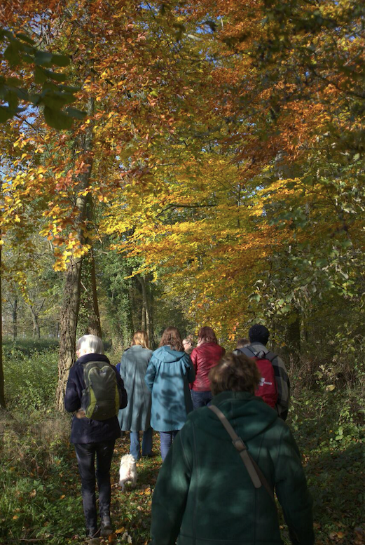 Werfzeep wildplukwandeling op landgoed wickenburgh in het kader van het zeepboek