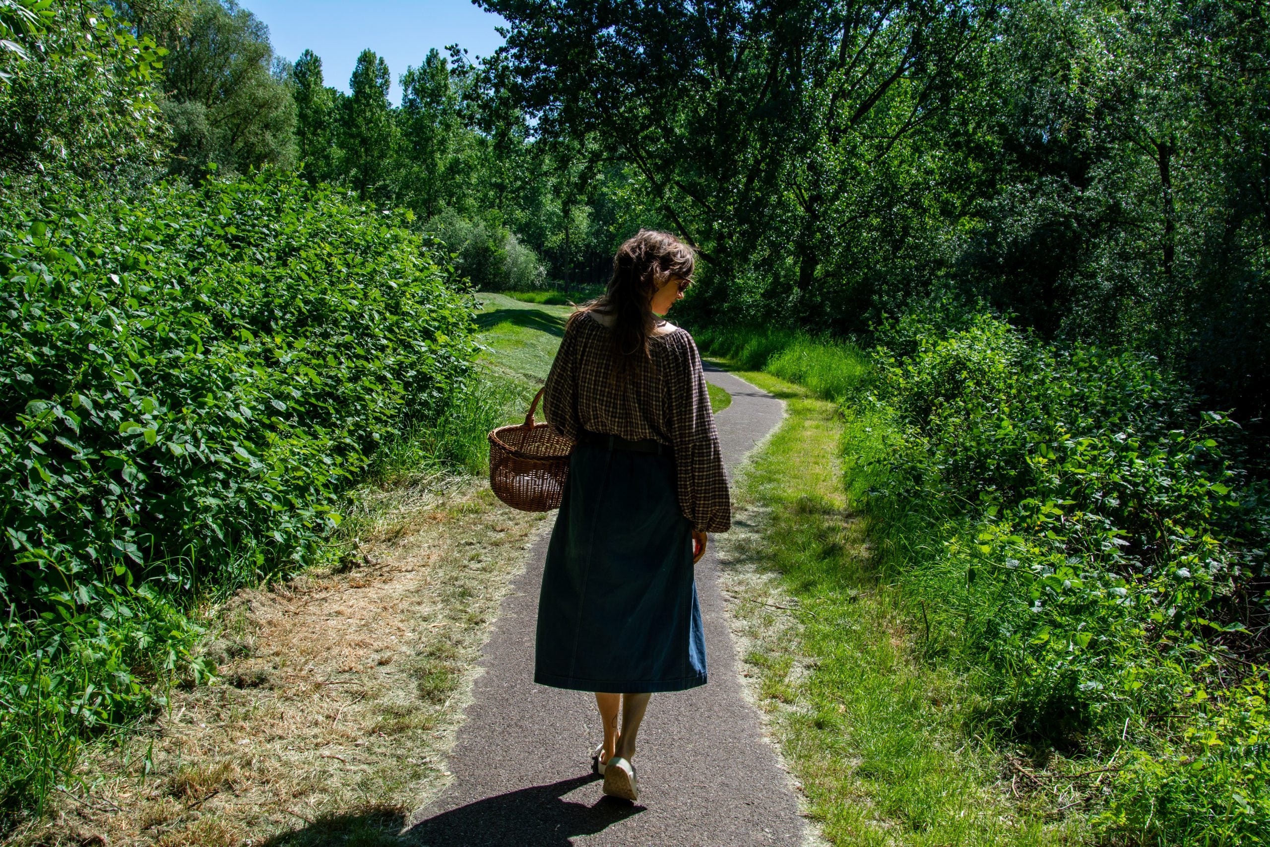 Vijf eetbare planten voor de beginnende wildplukker
