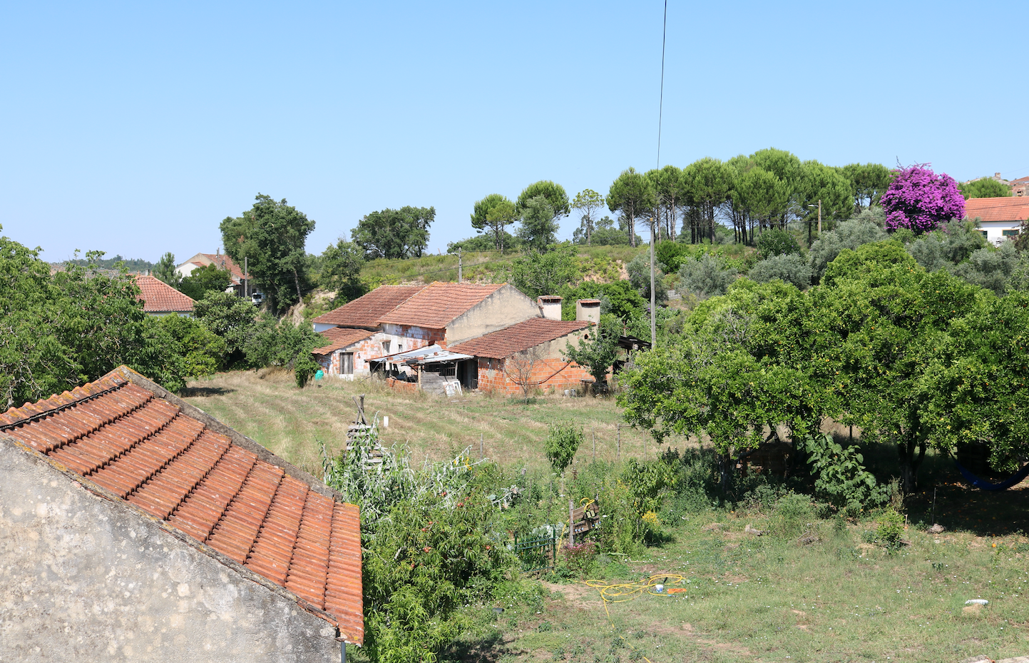 Portugese klusboerderij zoekt nieuwe familie!
