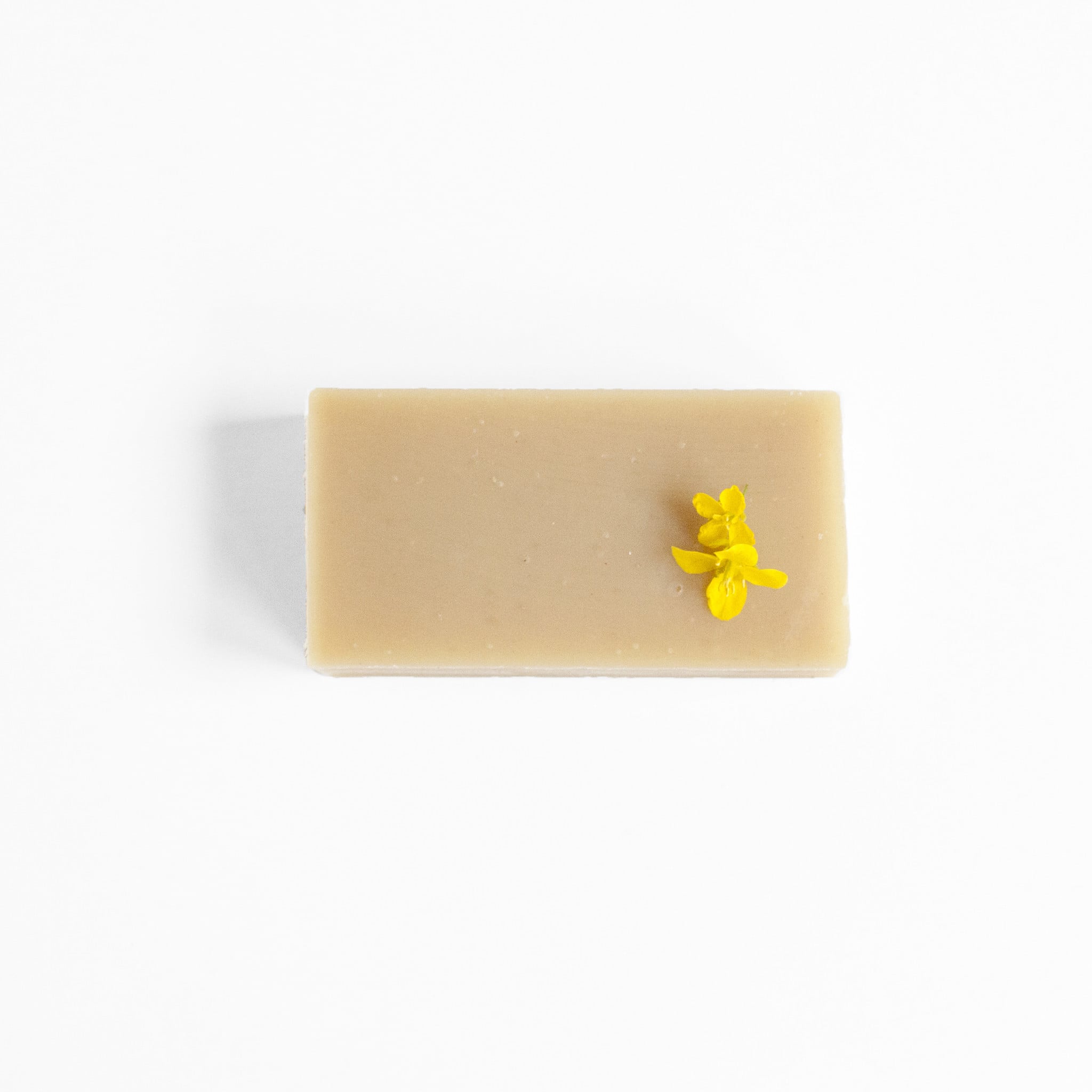 Seasonal soap spring | from forest to bath