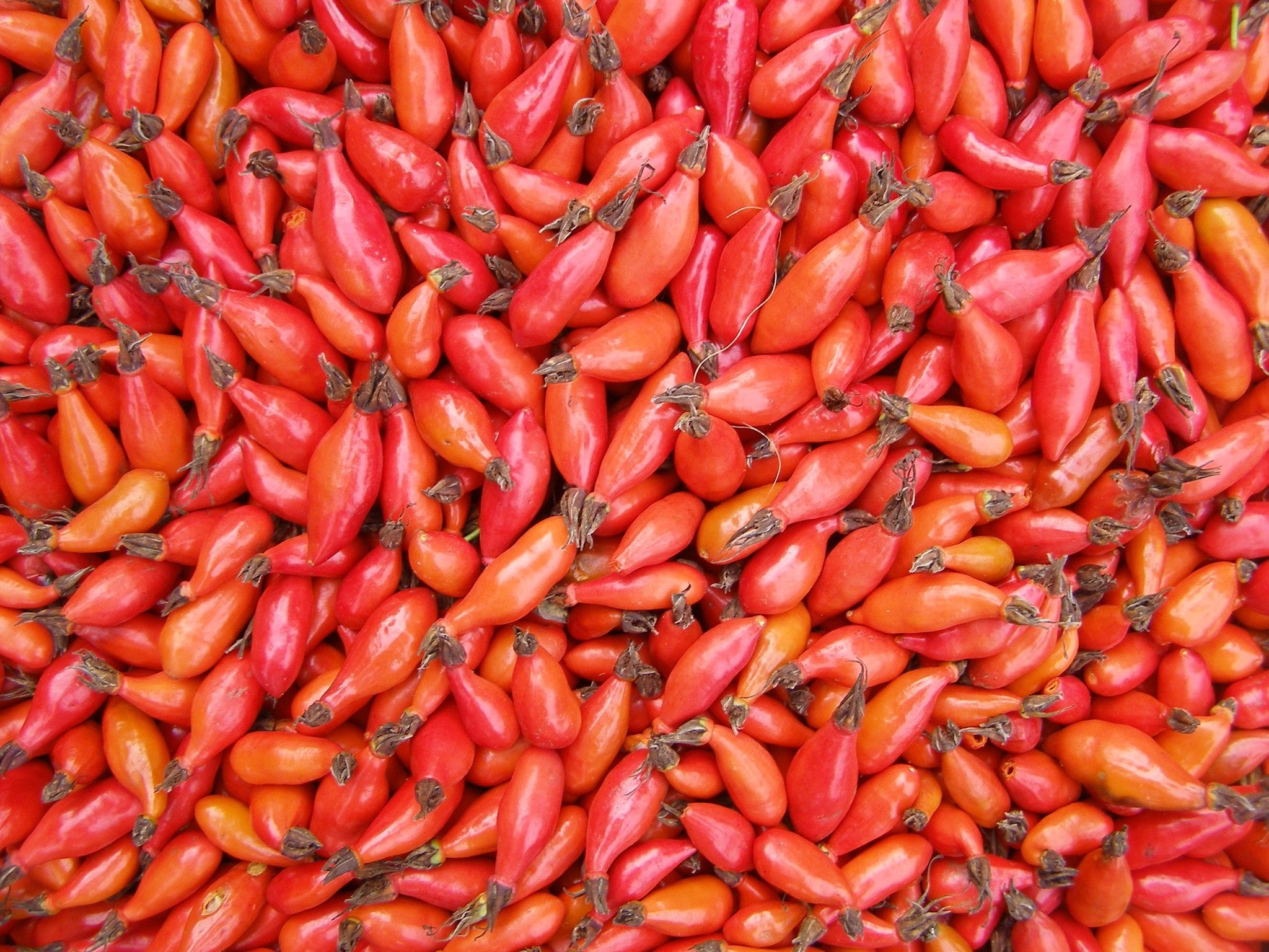 Rosehip soap