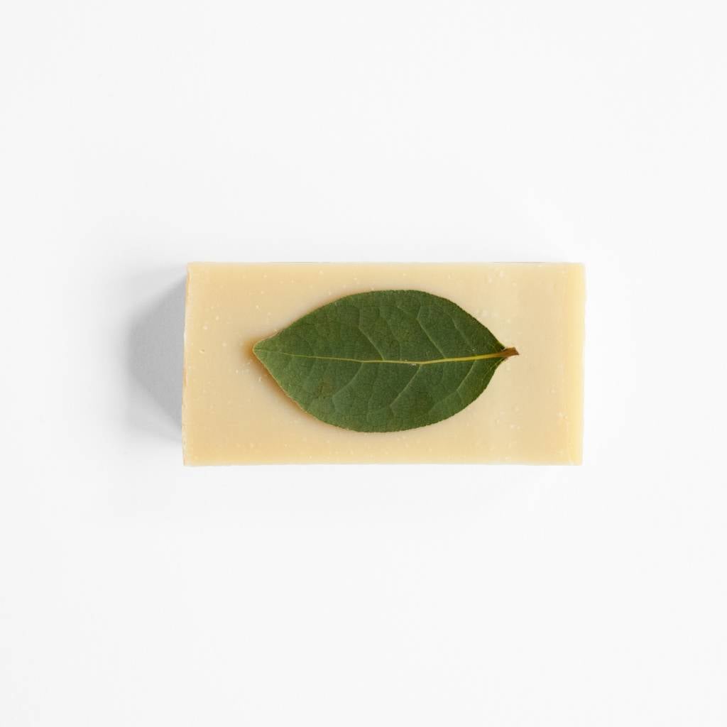 Shea butter soap