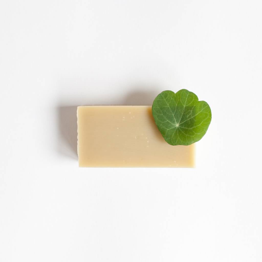 Herbal Shampoo