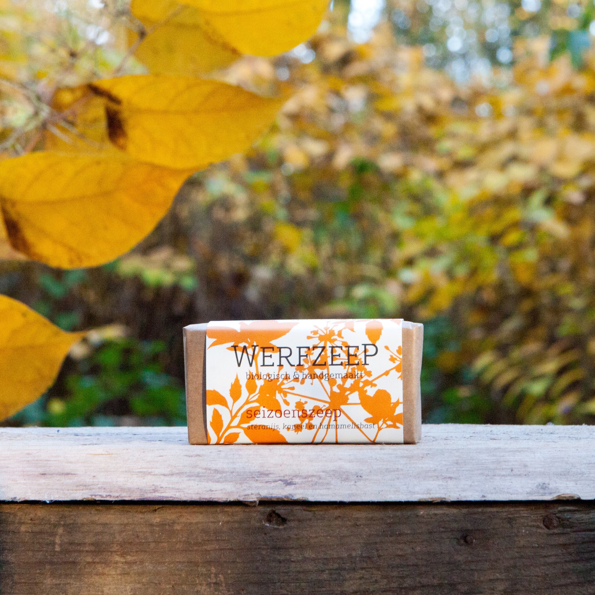 Autumn seasonal soap | from forest to bath
